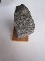 Stein
