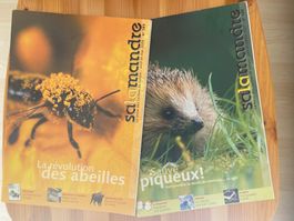Lot de 2 revues Salamandre nature - Avril/Mai et Juin/Jui...