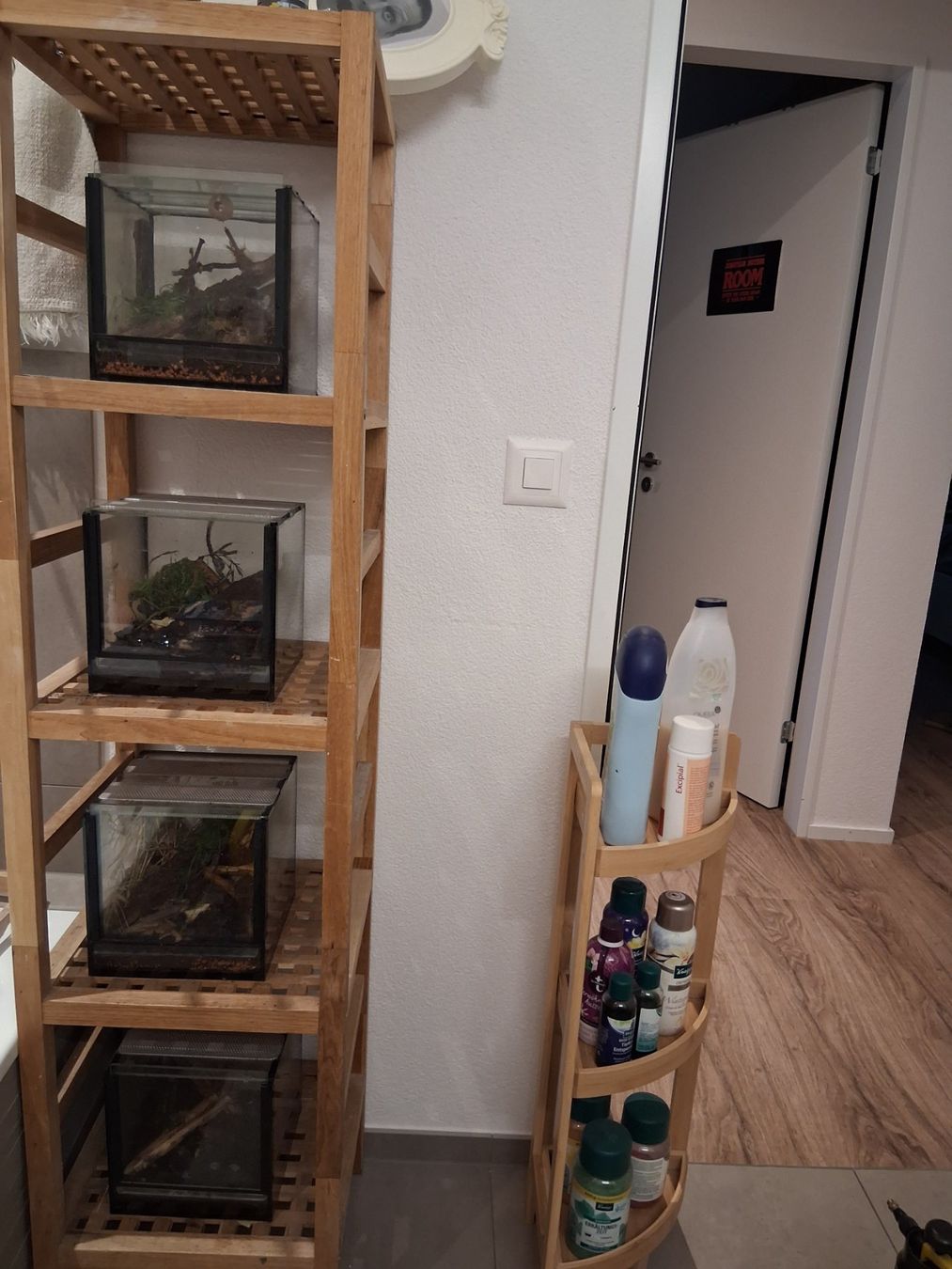 Terrarium: Terrarium, Terrarien, 4 Stück – Gebraucht aus Schüpfheim von lestat04