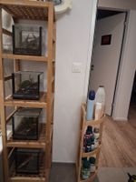 Terrarium, 4 Stück