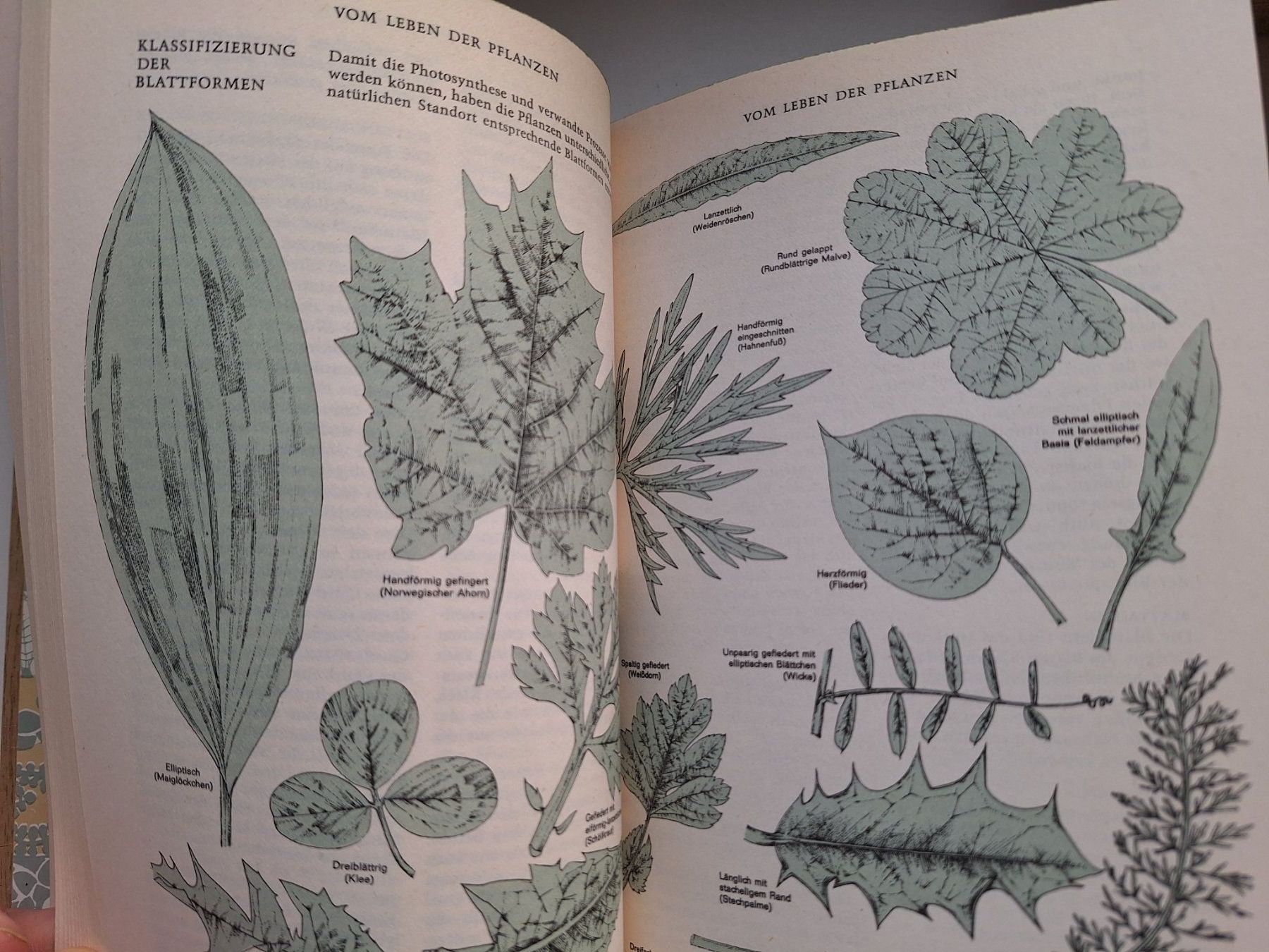 Bücher: Das grosse Reader's Digest Gartenbuch, 3 Bände, 1965! Top... – Gebraucht aus Zürich von t24_de 5