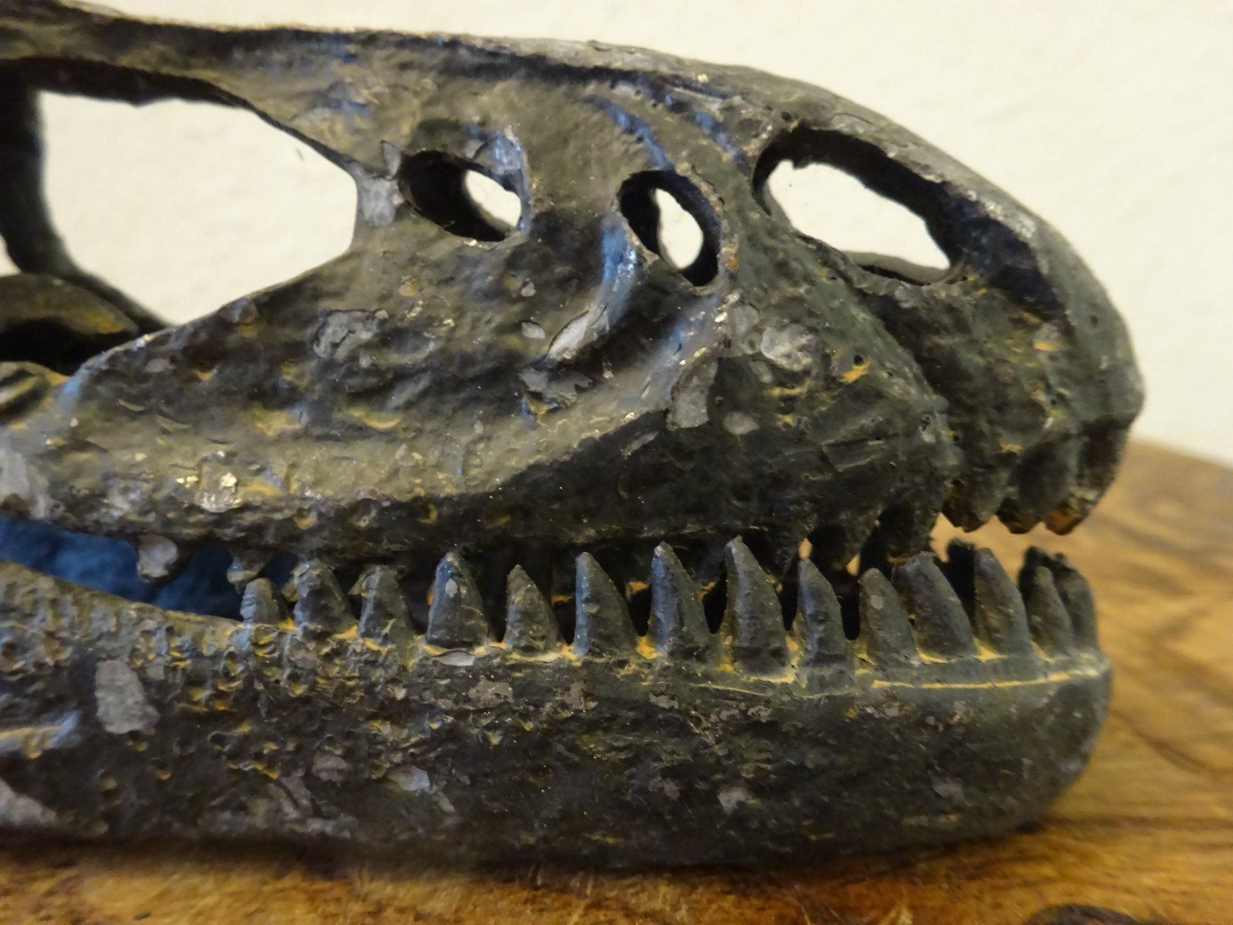 Fossili: Skulptur Schädel Saurier – Usato da Esslingen venduto da eintagammeer 7