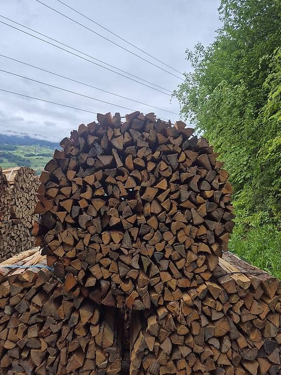 Articoli in legno: Brennholz – Usato da Sachseln venduto da Cat_m320f 3