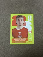 PANINI WM 2026 / SHAFFELBURH CAN 14