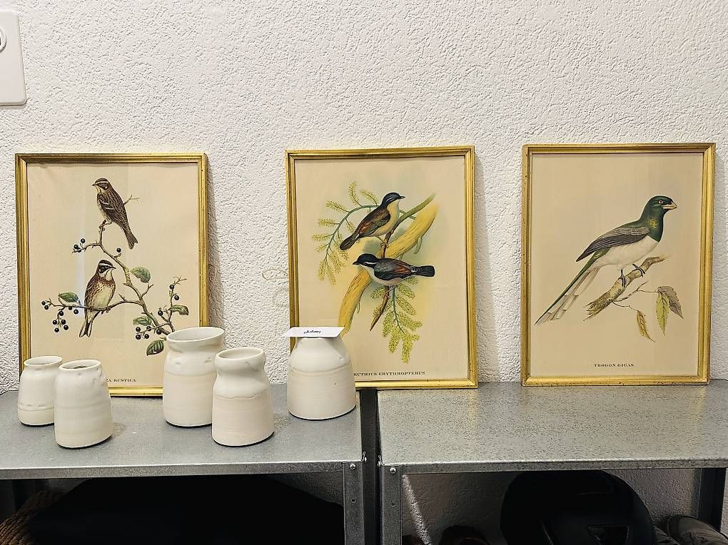 Poster & Bilder: Représentations / Affiches doiseaux vintage – Gebraucht aus Genève von jchrmnhnr