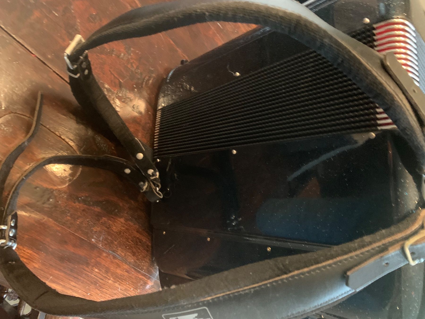 Beltuna Strumenti musicali: Accordéon Beltuna Prestige 2000 – Usato da Gland venduto da visiped 5