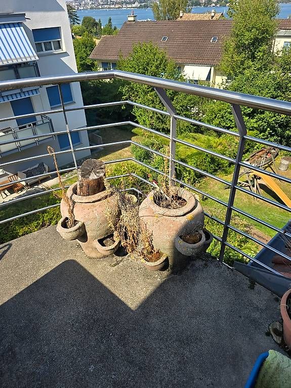 Pots de fleurs: Kräutergarten-Töpfe – D'occasion à Zürich par simonanstey