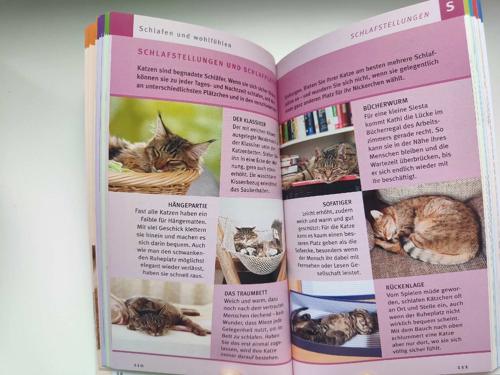 Libri: 2 GU Ratgeber Katzen: Verhalten & Wohnung – Usato da Morschach venduto da ClKi04 5