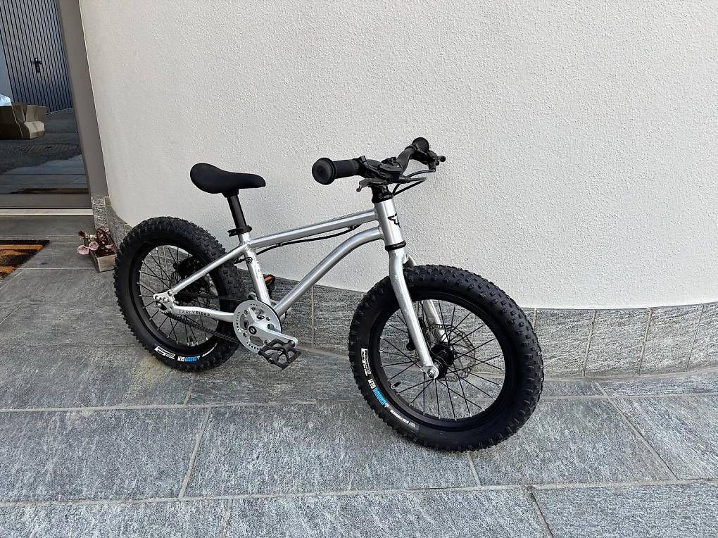 Early Rider Biciclette: Bicicletta bambini SX16 – Usato da Cugnasco venduto da Stefy83 1