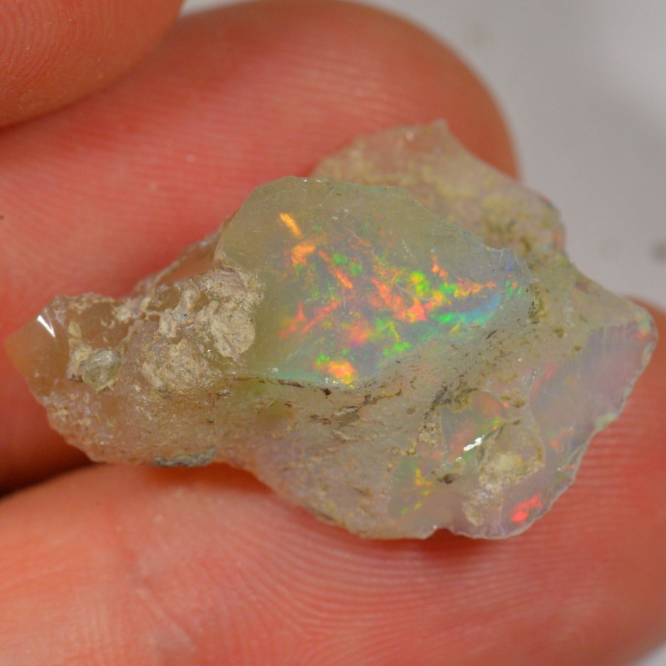 Pietre preziose: 12.9 Karat - Roher Äthiopischer Welo Opal – Nuovo (secondo la descrizione) da Rüti ZH venduto da DeinOpal 1