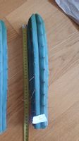 Trichocereus bridgesii ca. 35cm lang, Frisch geschnitten