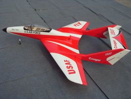 Skysun Cougar, inkl. Einziehfahrwerk elektrisch mit Bremsen