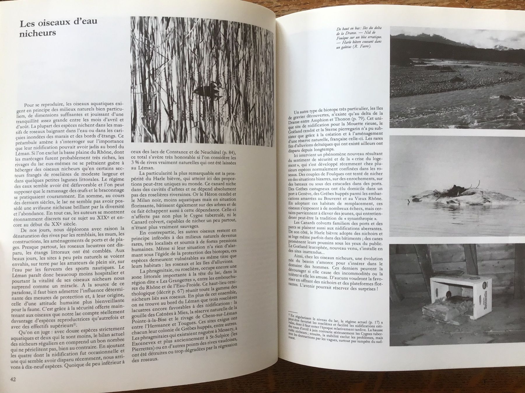 Libri: Les oiseaux du Lac Léman – Usato da Fully venduto da Ruby97 5