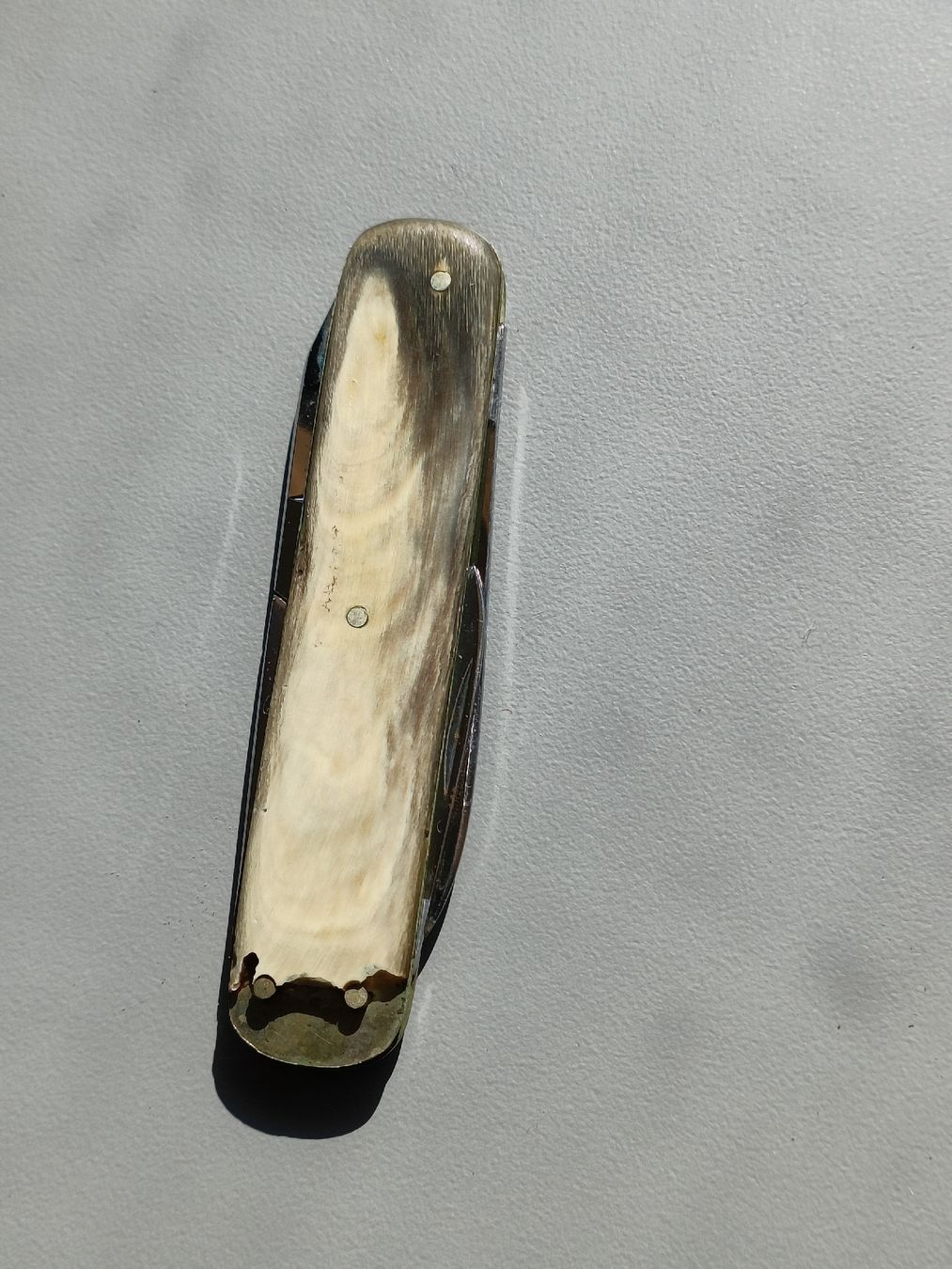 Taschenmesser: Horn Sackmesser E. Kienast Zürich – Gebraucht aus Brugg AG von Ente015 1