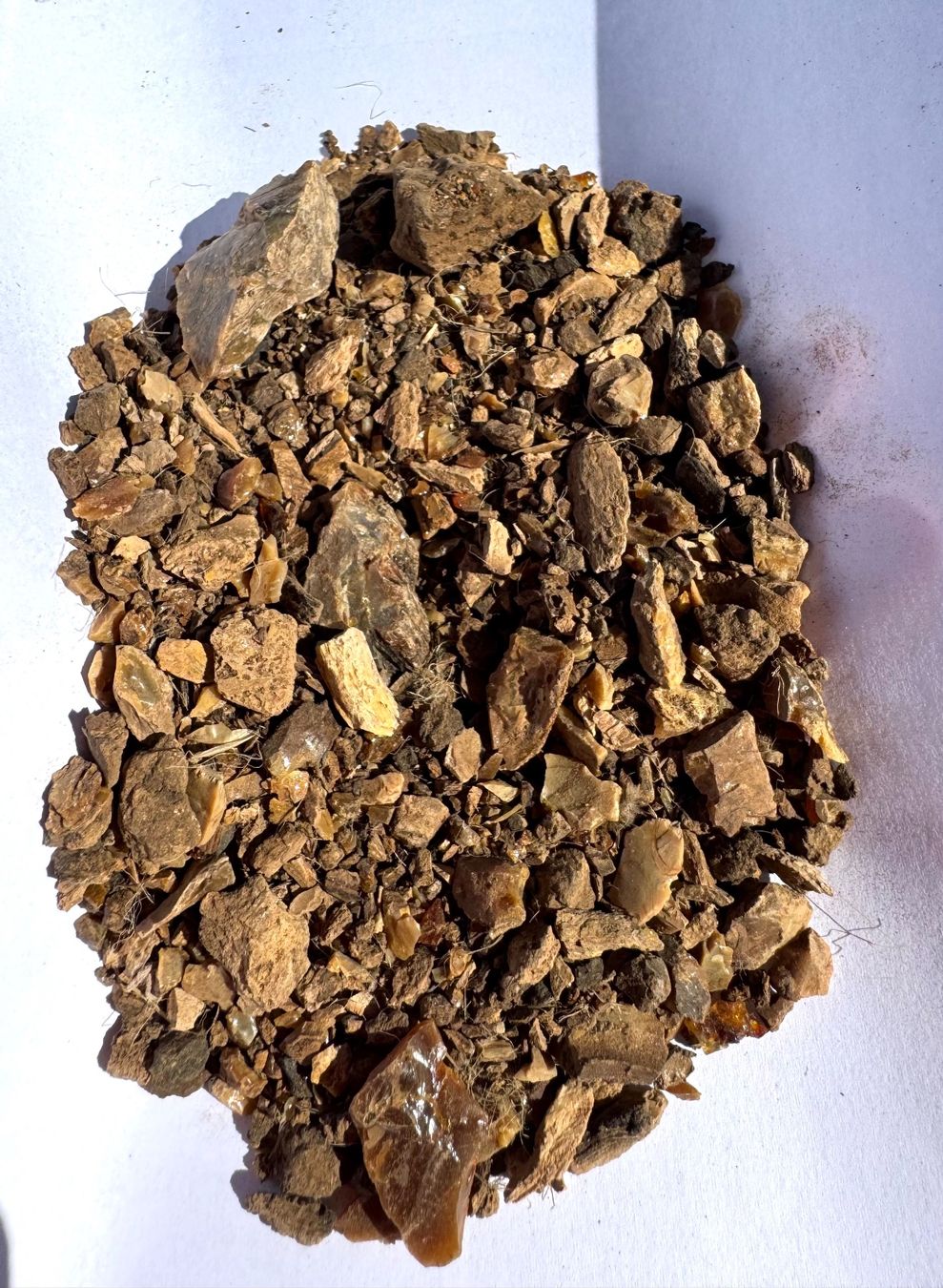 Fossilien: Bernstein    wood amber     winzige Splitter  Sand – Neu und originalverpackt aus Leuggern von gemshow