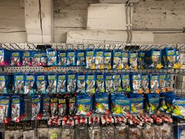 Angelzubehör, Jigkopf Sortiment, Originalverpackt! 687 Stk.