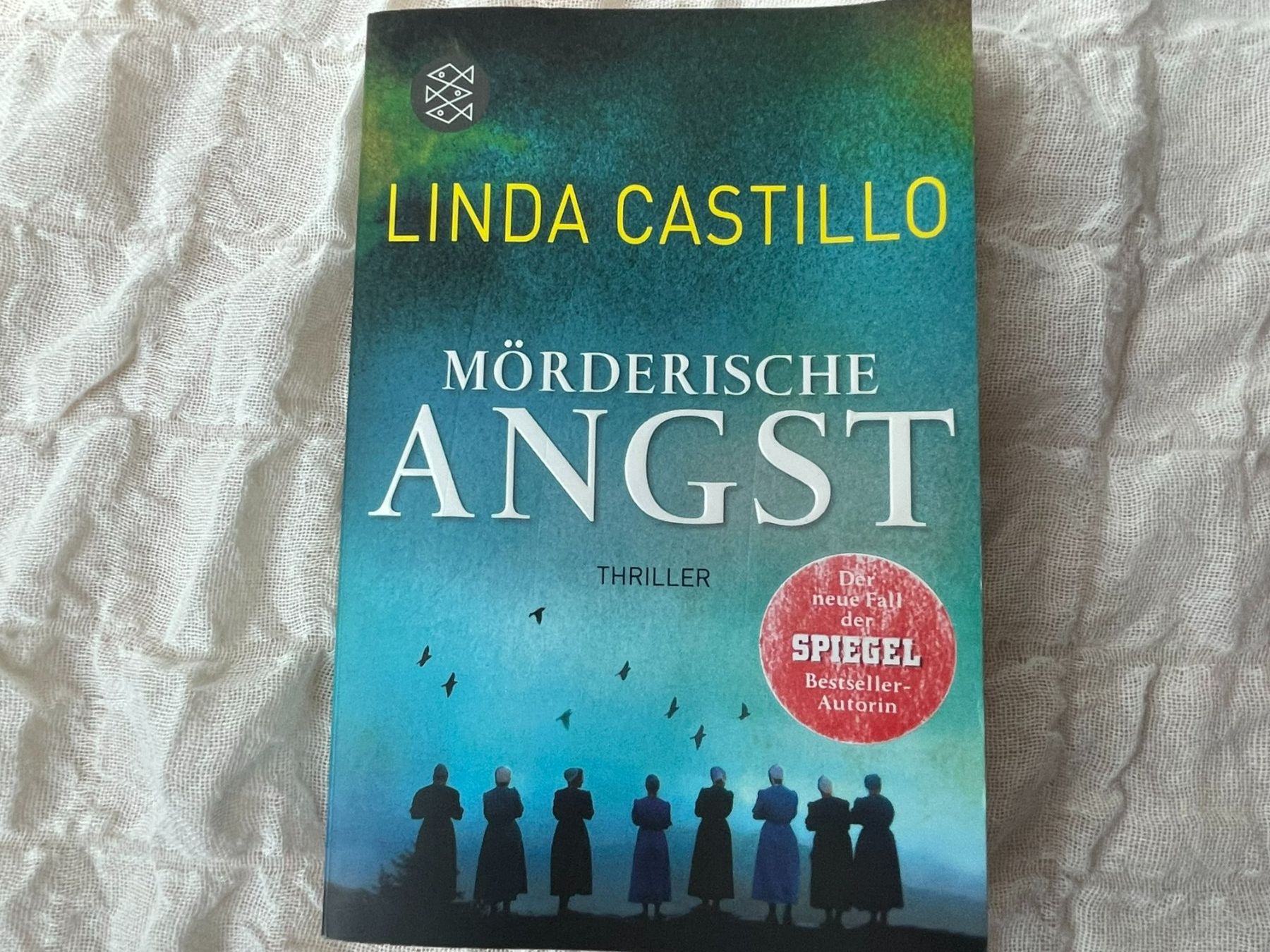 Libri: Linda Castillo / Mörderische Angst – Usato da Reinach AG venduto da Nahe