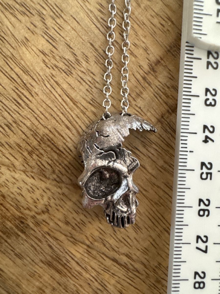 Catenine: Silberfarbene Schädel Halskette/Accessoire💀 – Nuovo (secondo la descrizione) da Brunnen venduto da Skyline89 2