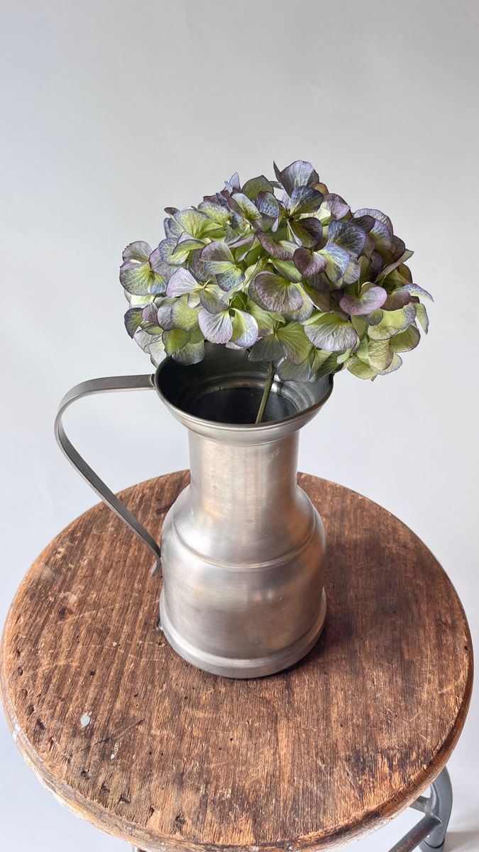 Caraffe: Alter Krug – Usato da Horgen venduto da kruemel777