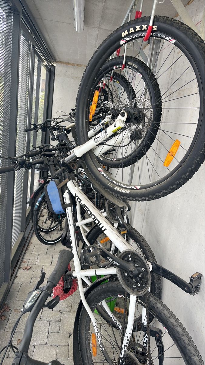 Velos: 2x Mountainbike - Marke Muddyfox – Gebraucht aus Winterthur von dze_8ll6