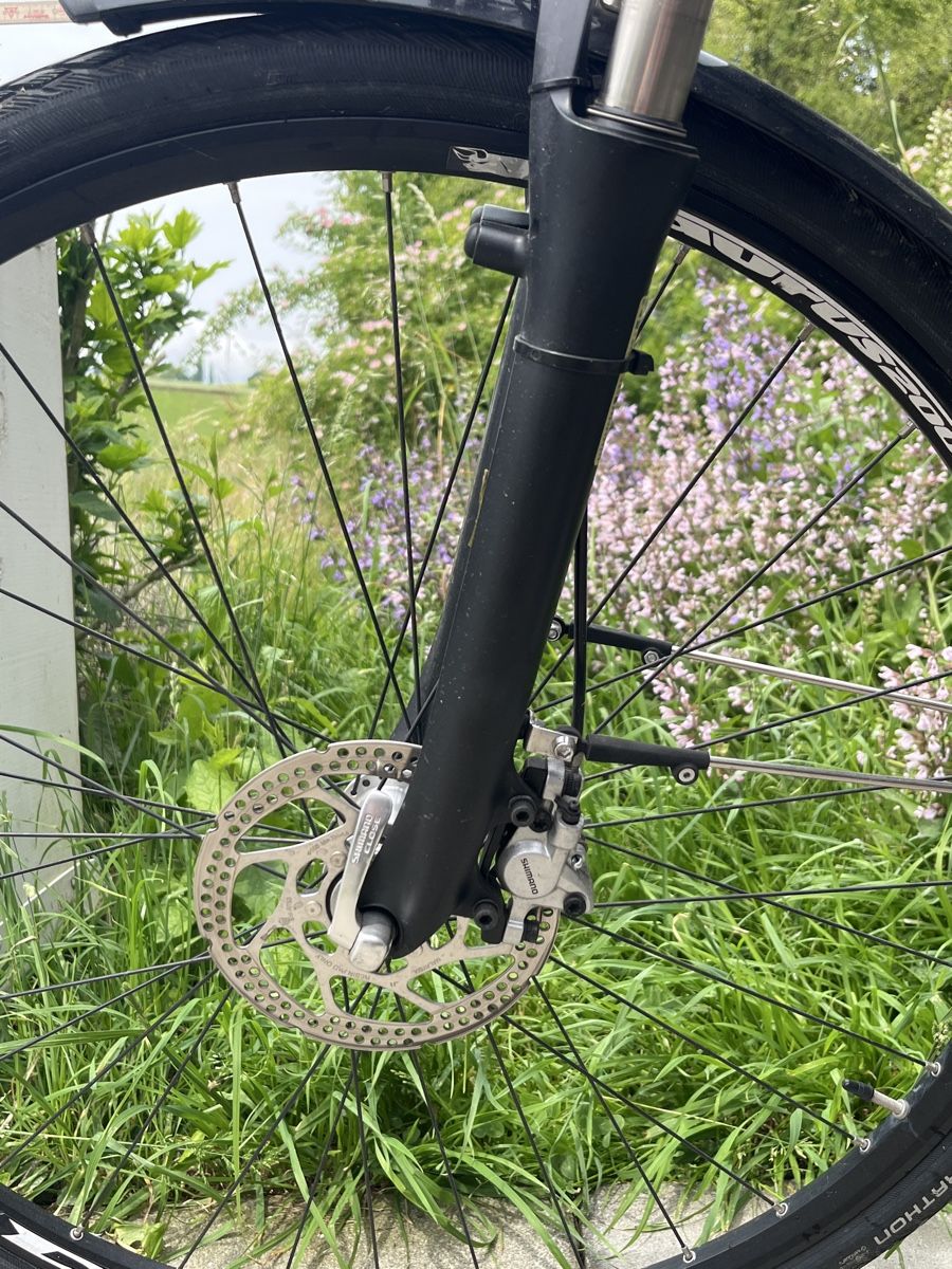 Cresta Biciclette: CRESTA swiss e- bike – Usato da Römerswil LU venduto da sdg16 3