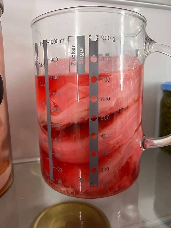 Lebensmittel & Spezialitäten: Kombucha Scoby - Tee Pilz – Gebraucht aus Basel von Timmi244 2