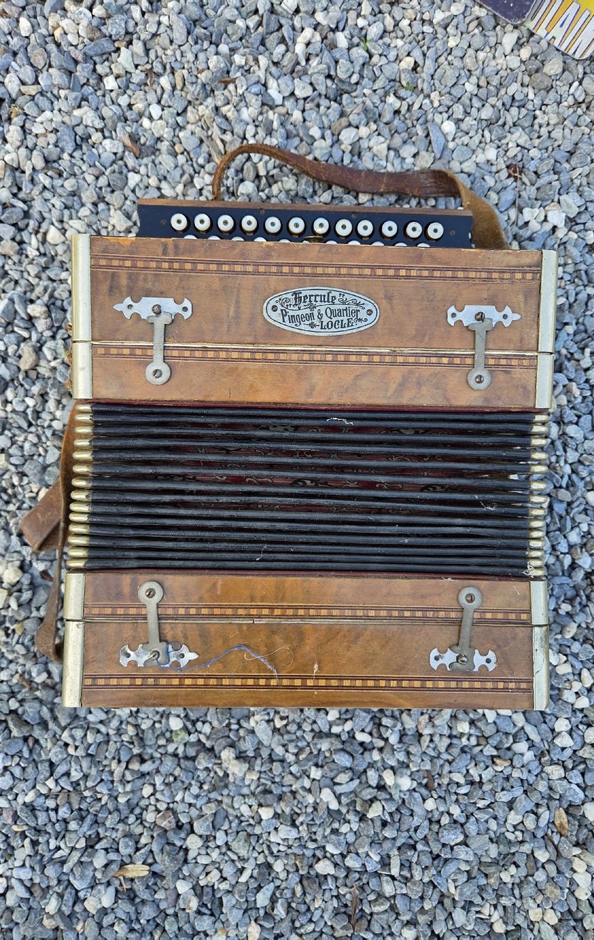 Hohner Strumenti musicali: Akkordeons – Usato da Domat/Ems venduto da Coc87 2
