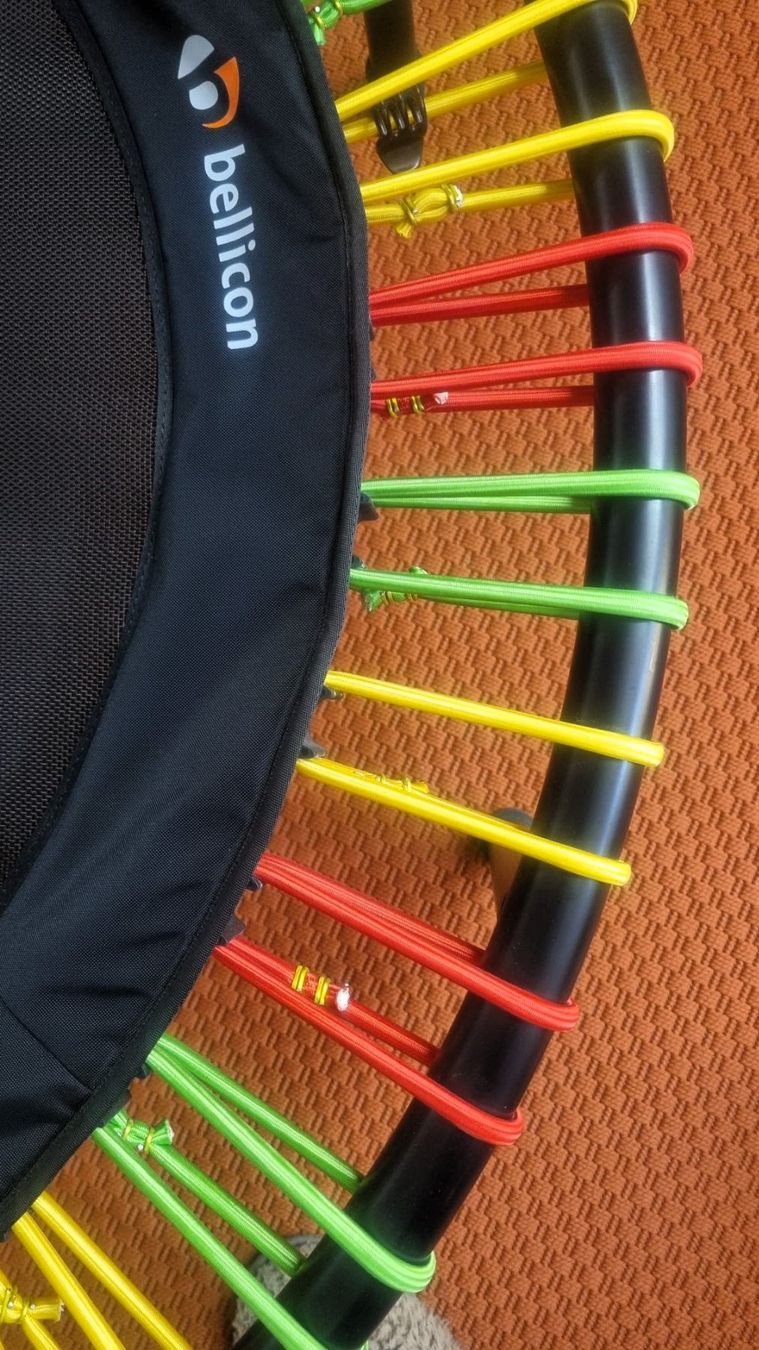 Bellicon Trampolini: Bellicon® Classic 112cm – Nuovo (secondo la descrizione) da Zürich venduto da Irieirie 2