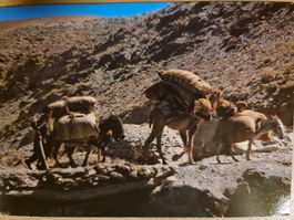 Ansichtskarte Nomaden Afghanistan Teppichfreunde Fricktal