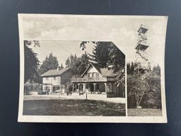 AK SO Waldheim Maiengrün ob Hägglingen