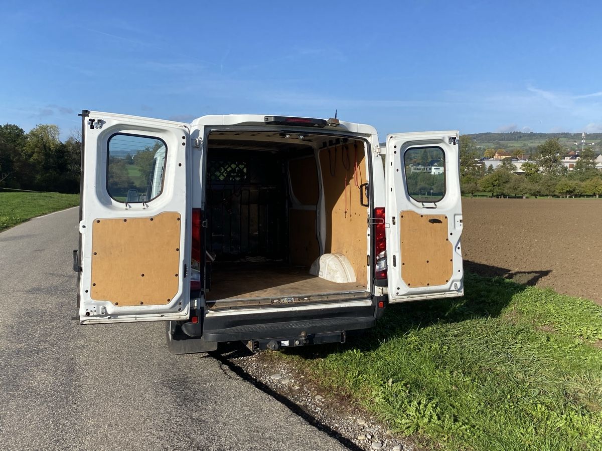 Iveco Veicoli commerciali: IVECO  (H1L1) – Usato da Berg TG venduto da chr_2tsk 3