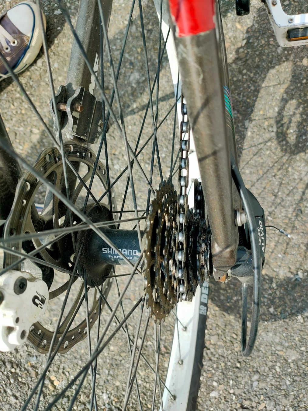 Biciclette: Mountainbike UMF Hardy 3 – Usato da Bronschhofen venduto da happynews2018 3