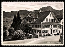 AK Steinerberg, Hotel Rössli mit Brunnen, Straße u. Bergpano