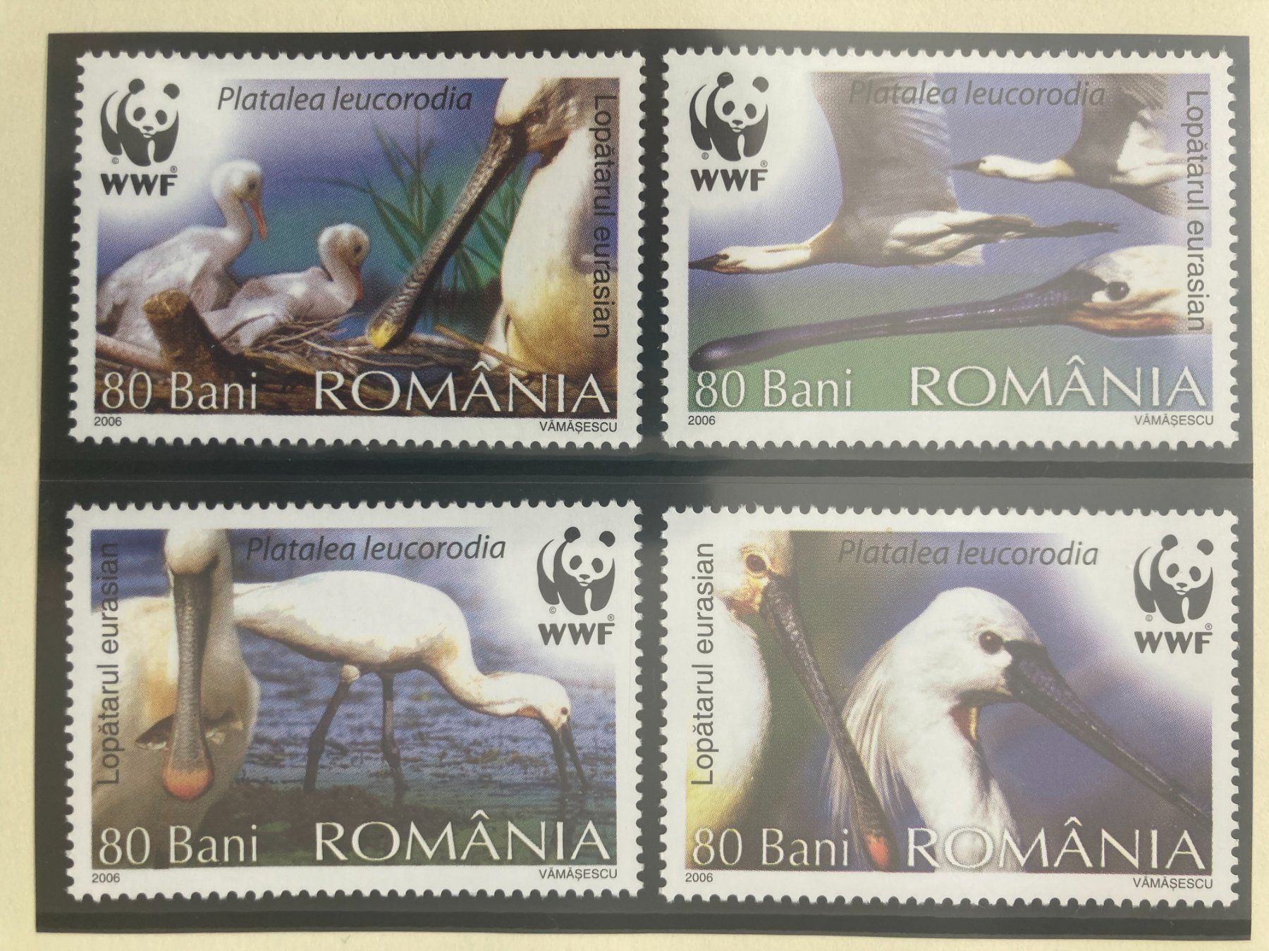 Tutti i francobolli: WWF Rumänien 2006 Satz Eurasiatischer Löffler postfrisch – Nuovo (secondo la descrizione) da Liestal venduto da schnueps