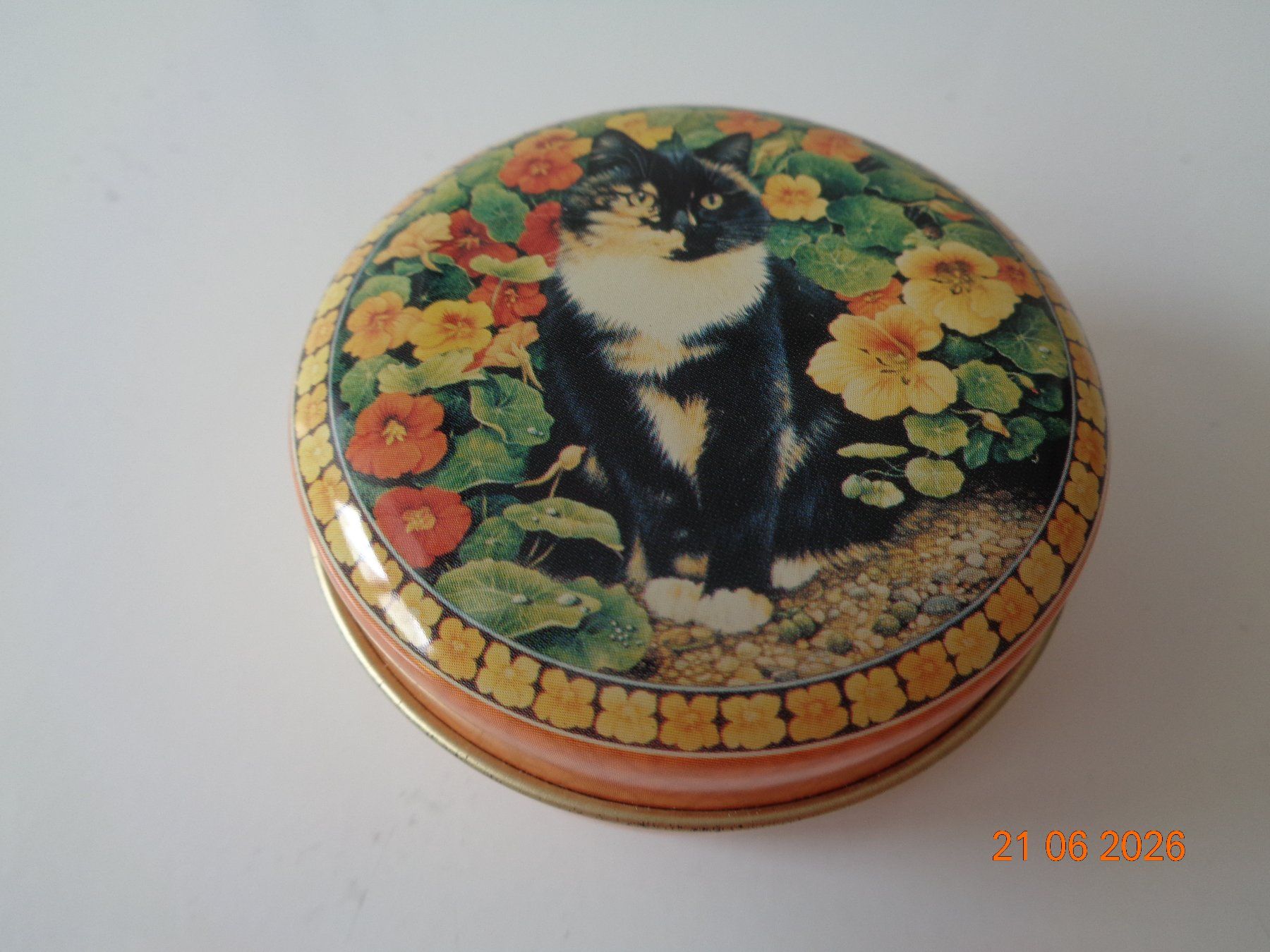 Altro in Decorazioni & Accessori: Kleine Blechdose Katze, 6.5 x 3 cm, Neu – Nuovo (secondo la descrizione) da Wiesendangen venduto da Gullfoss 1