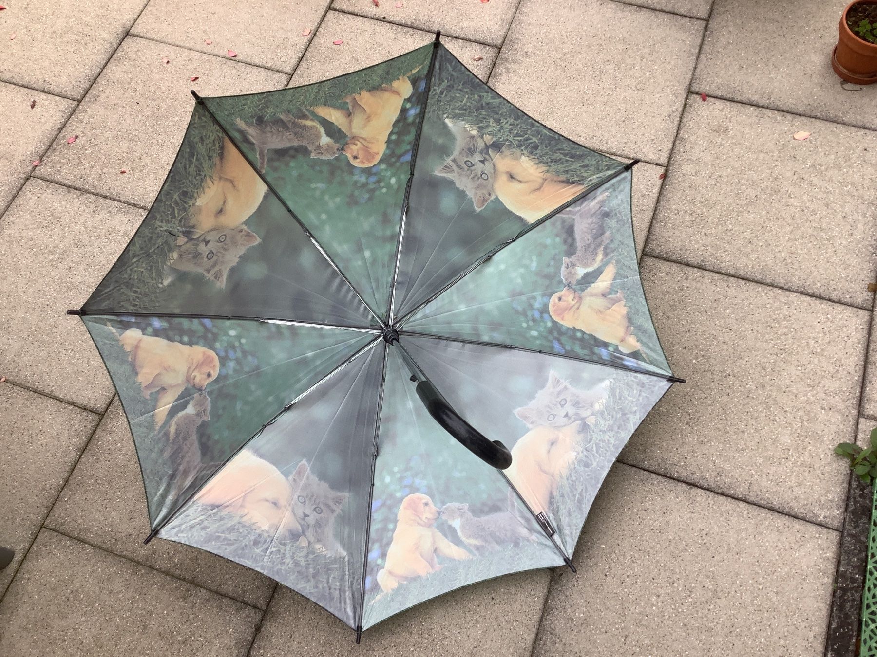 Altro per bambini: Regenschirm – Usato da Bonstetten venduto da Lia29 1