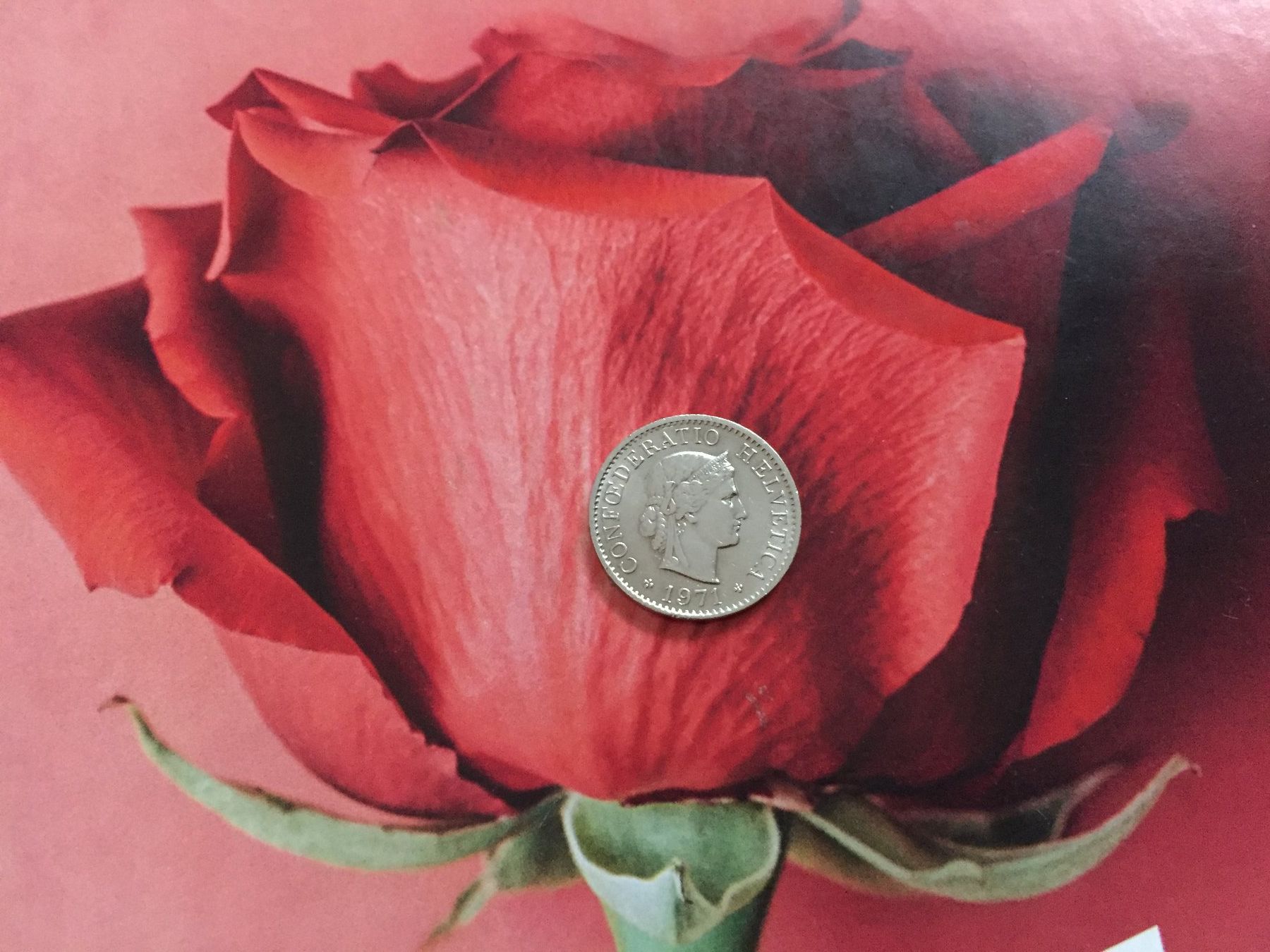 Tutti le monete: 5 Rappen 1971 -vz – Usato da Elsau venduto da herbybay 3
