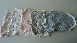 Baby Bodys Grösse 62/68 5er Set Kurzarm
