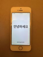 iPhone 5S