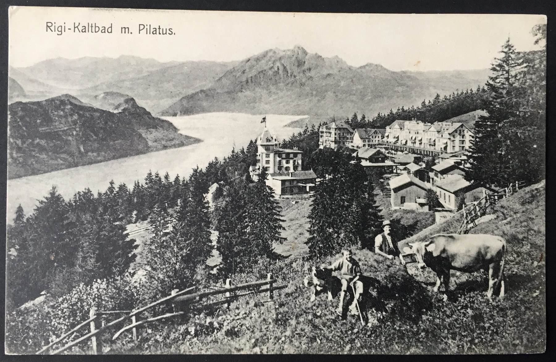Ansichtskarten: RIGI-KALTBAD m. Pilatus, Bauer mit Kühen – Neu (gemäss Beschreibung) aus Jona von philajona