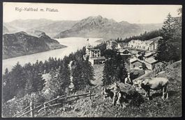 RIGI-KALTBAD m. Pilatus, Bauer mit Kühen