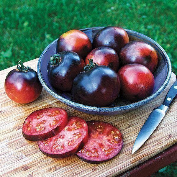 Piante & sementi: 100 Samen Tomate AMERICAN BLUE – Nuovo (secondo la descrizione) da Ehrendingen venduto da VerveinaSamen 2
