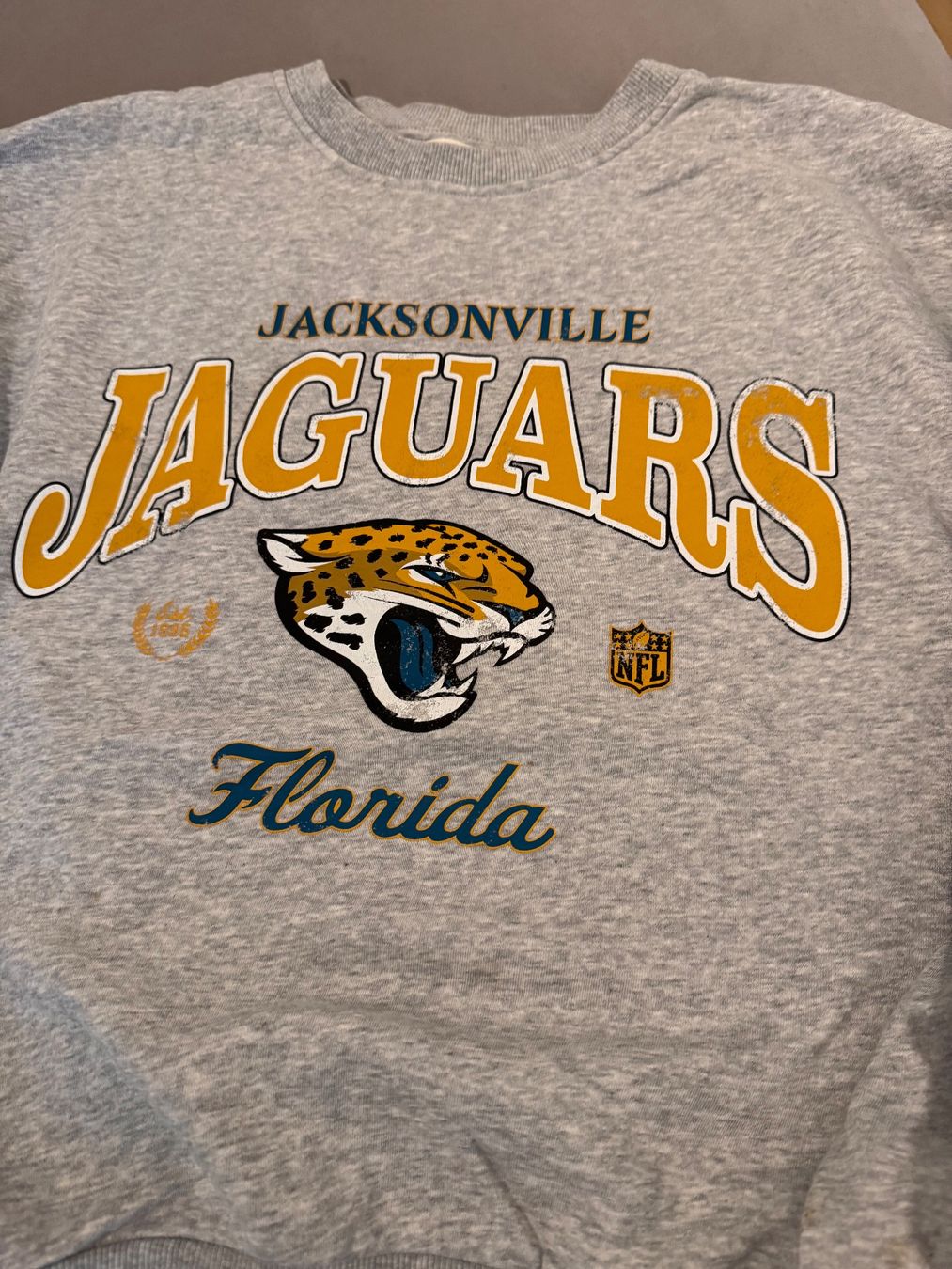 H&M Maglioni & Felpe: Jaguars Sweatshirt – Usato da Winterthur venduto da KittyCutieThings 2