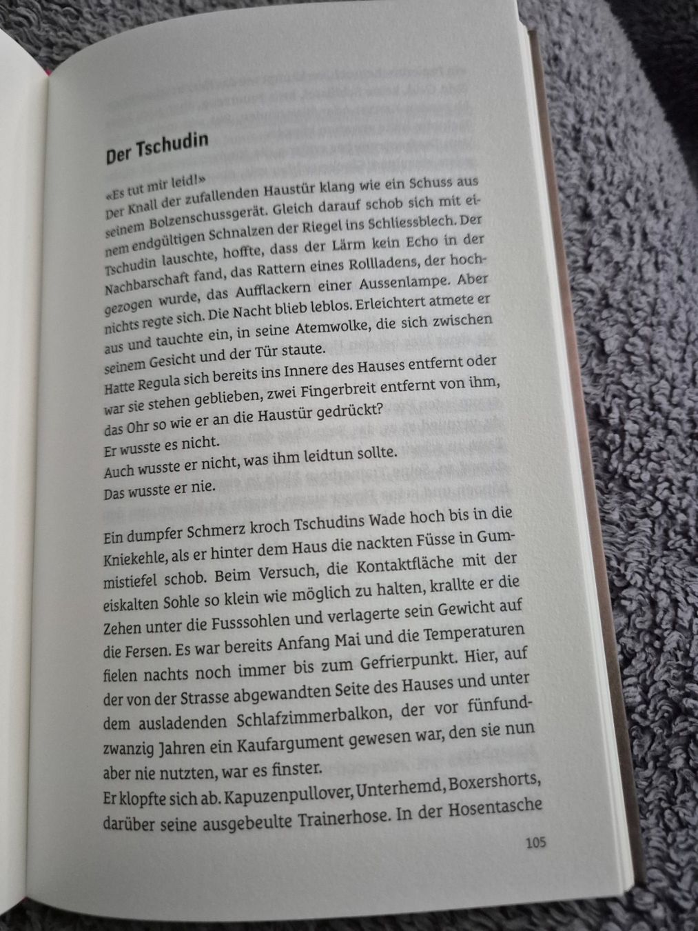 Livres: Die Dinge beim Namen – D'occasion à Reigoldswil par lus_76dn 2