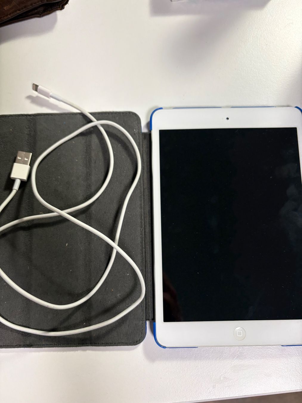 Apple Tablet PC: iPad Mini A1432 – Usato da Rümlang venduto da svent