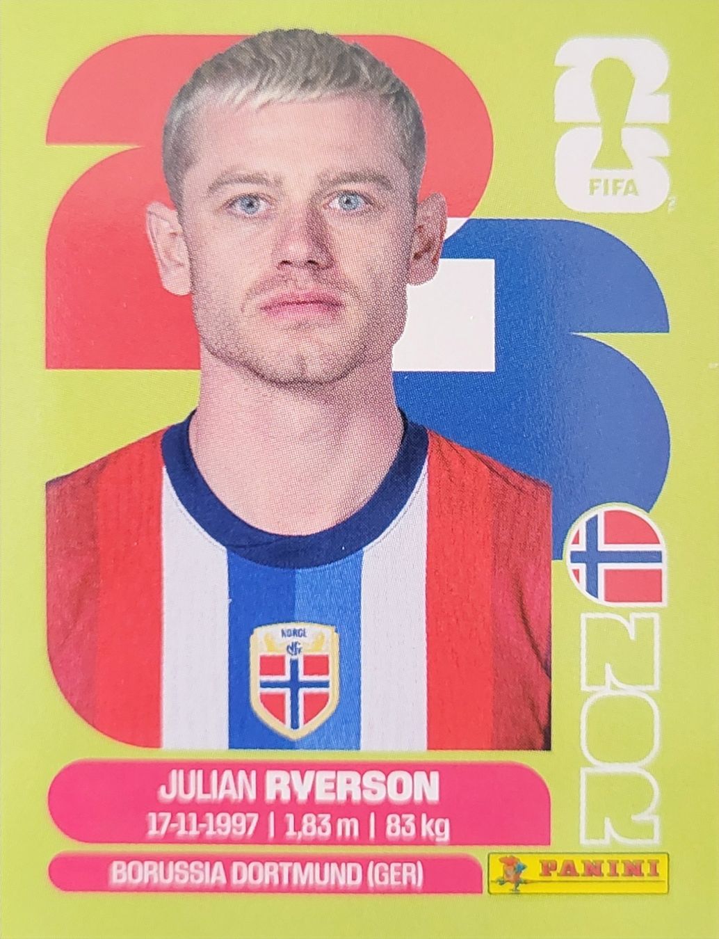Panini Sammelbilder & Trading cards: Panini FIFA World Cup NOR 3 – Neu (gemäss Beschreibung) aus Wallisellen von never_give_up
