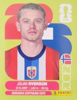 Panini FIFA World Cup NOR 3