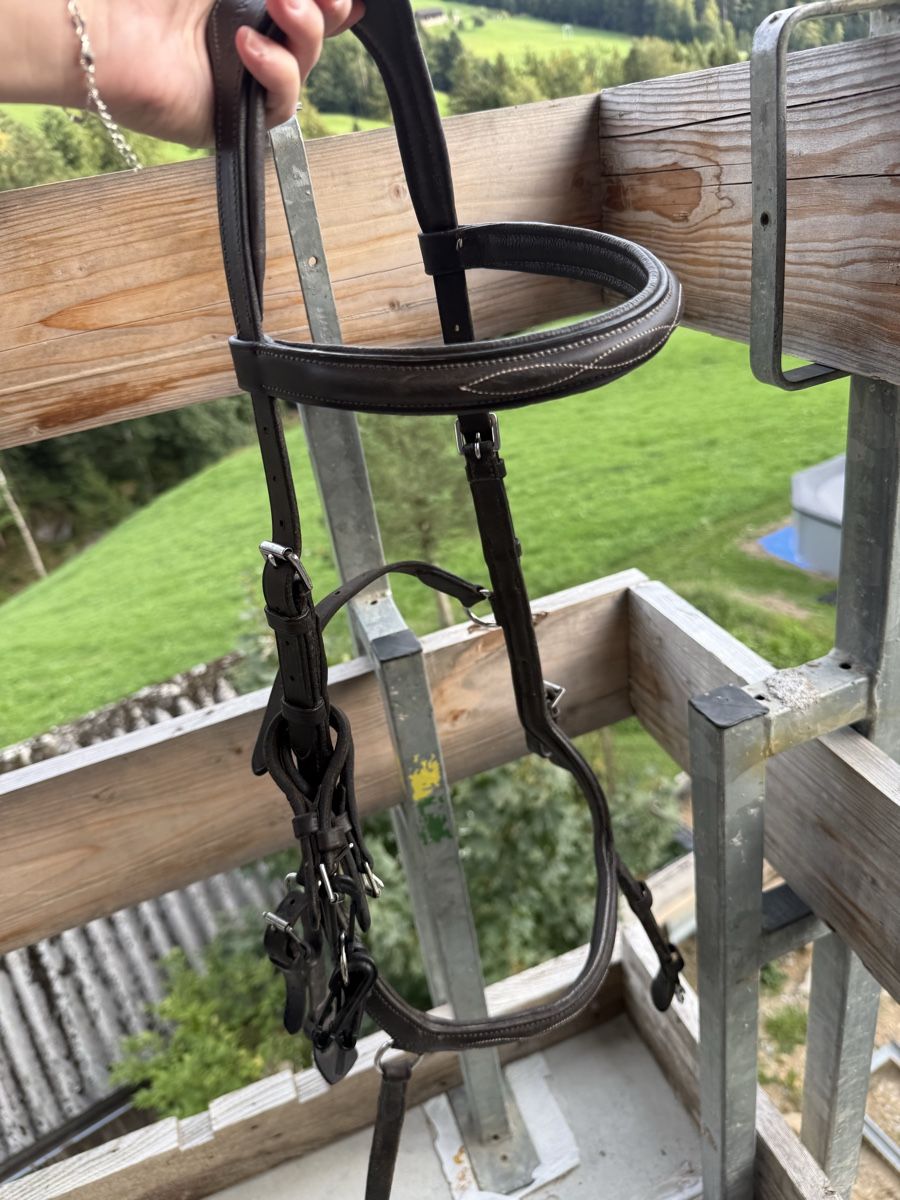 Briglie & Cavezze: Rambo Micklem XL Zaum – Usato da Goldingen venduto da Wibli96 3