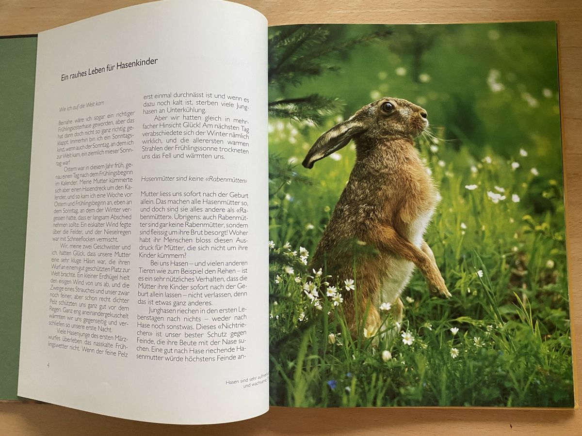 Libri: Ich bin ein Hase - Ursula Dolder – Usato da Schwarzenburg venduto da Michellu 4