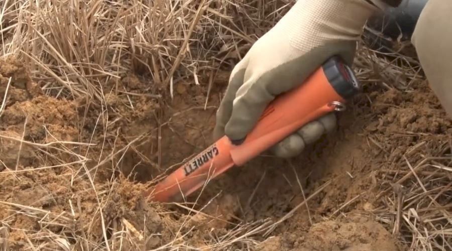 Misurare: Garette Pro-Pointer AT Metalldetektor – Nuovo e nell'imballaggio originale da Bottighofen venduto da zaap 6